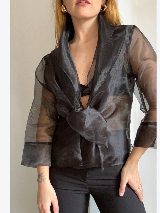 Adrianna Papell Tops - Adrianna Papell Black Sheer Tie-Neck Blouse